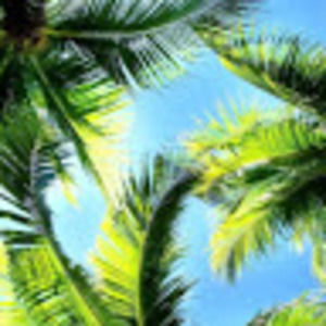 Meet your Posher, Winter